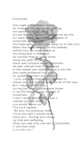 rose.JPG (43270 bytes)